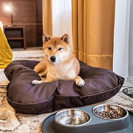 Palangos Vetra Hotel 4*