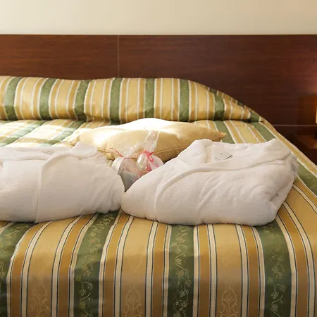 Palangos Vetra Hotel 4*