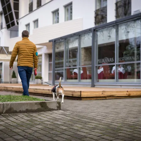 Palangos Vetra 4* Паланга