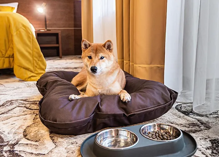 Palangos Vetra Hotel 4*