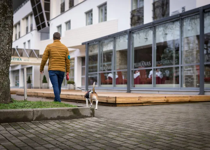 Palangos Vetra 4* Palanga